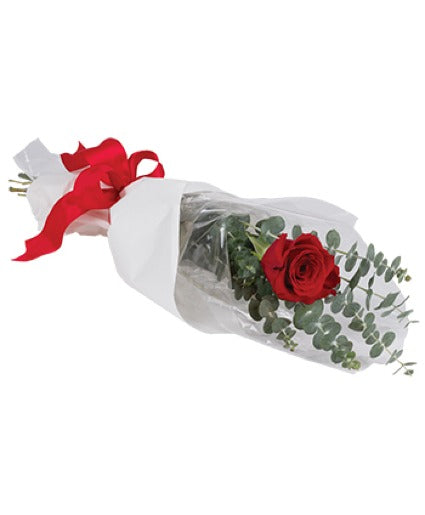 Single Rose