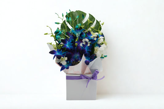 Orchid Box Arrangement