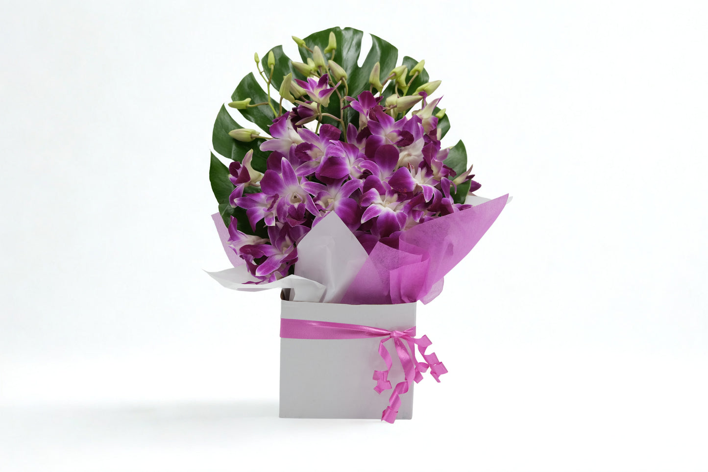 Orchid Box Arrangement