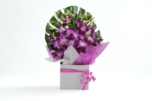 Orchid Box Arrangement