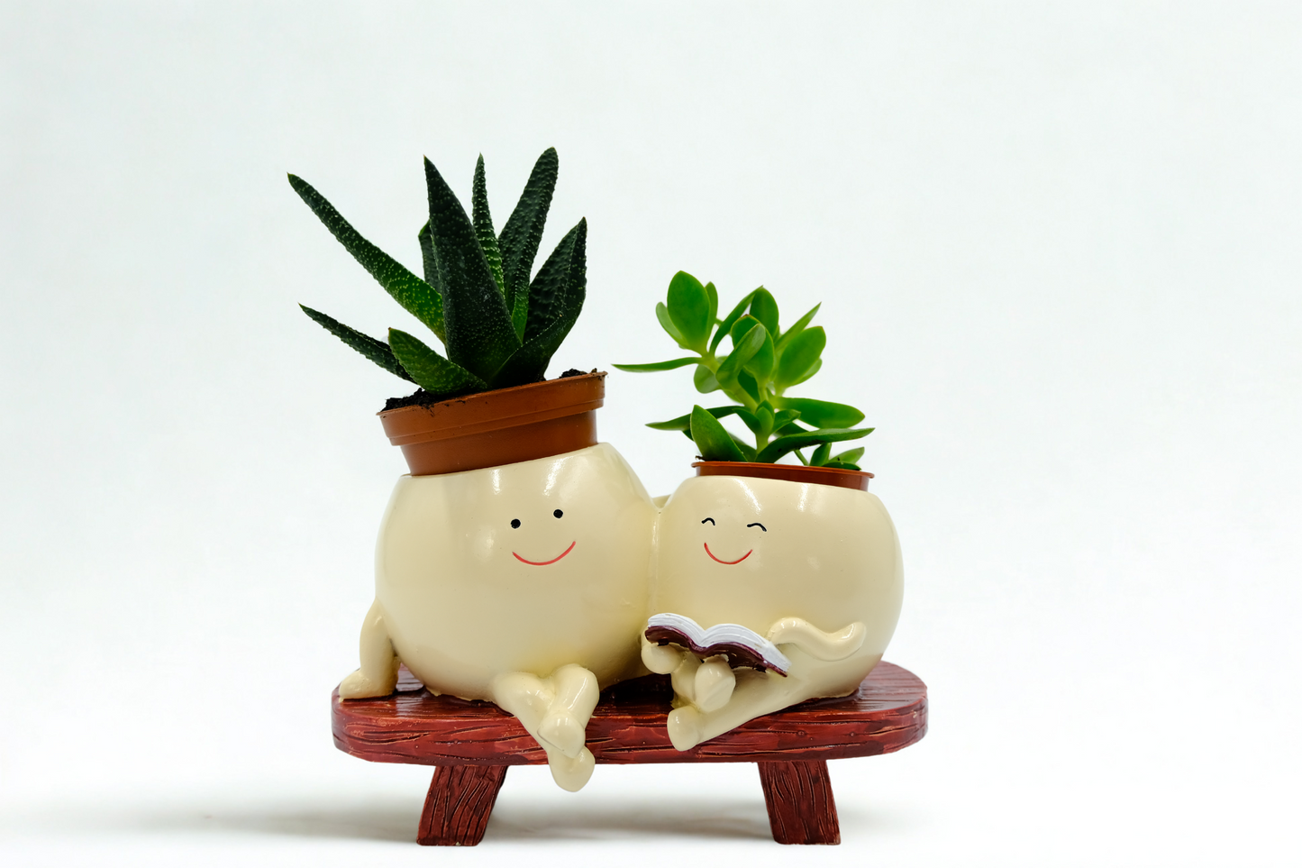 Best Buddy Succulent Gift