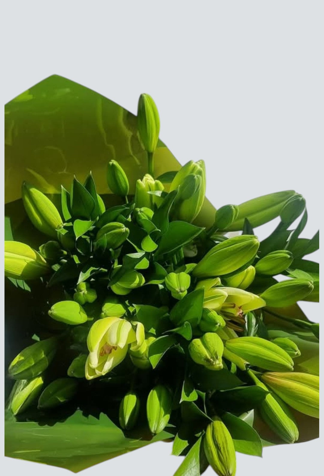 Flowers Everyday Bunch