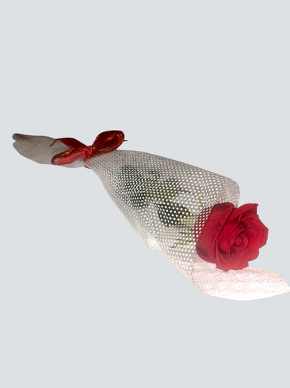 Single Rose