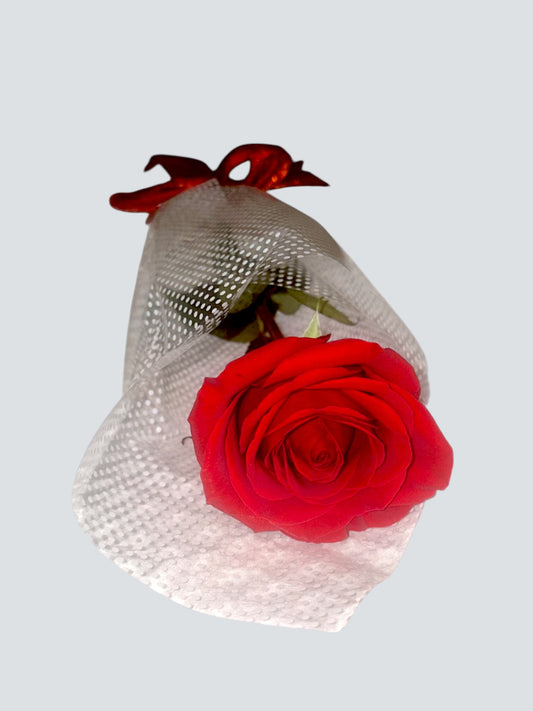 Single Rose